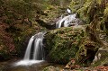  Vosges 
 cascade 
 souche 
 torrent 
