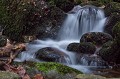  dynameau
 Vosges 
 cascade 
 mousse 
 rocher 
 torrent 
