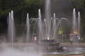  Versailles 
jet d'eau
jeu d'eau
pluie
parapluie 