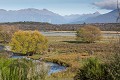 Nouvelle Zélande, île sud paysage, panorama, montagne,plaine 