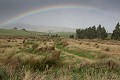 Plaine en Nouvelle Zélande (île sud)  