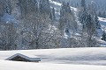 Manteau d'hiver (Vosges) Hiver, neige, Vosges 