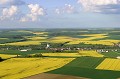 damier de cultures agricoles au printemps colza,cultures agricoles 