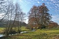  ruisseau,arbres 