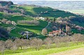  village,arbres,noyers 