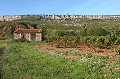  Provence,vigne 