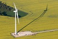  Eolienne, colza 