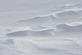  Vercors, neige, vagues 