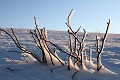  Vosges, hiver, glace, neige 