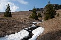  Slovaquie, montagnes, sapins, névé, ruisseau 