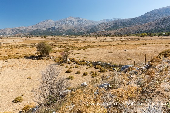 Plateau crètois