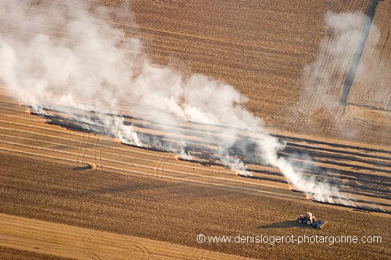 Travaux agricoles