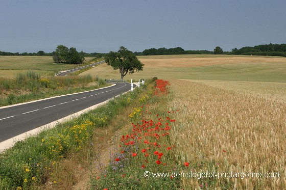 Campagne de France (Meuse)
