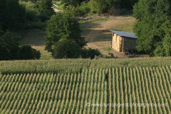 Graphisme agricole (Isère)