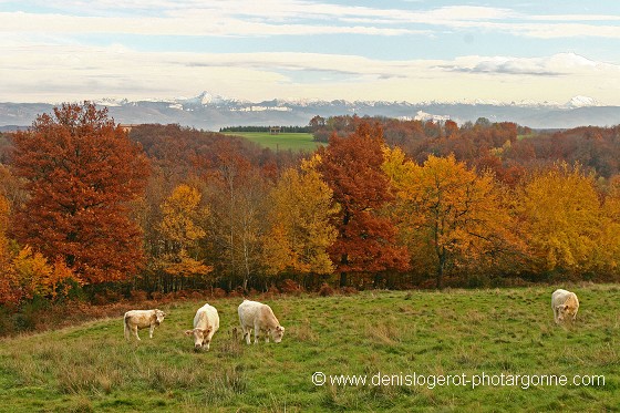 Couleurs d'Autômne (Drôme)