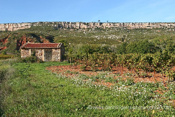 Côtes de Provence (Bouches du Rhône)
