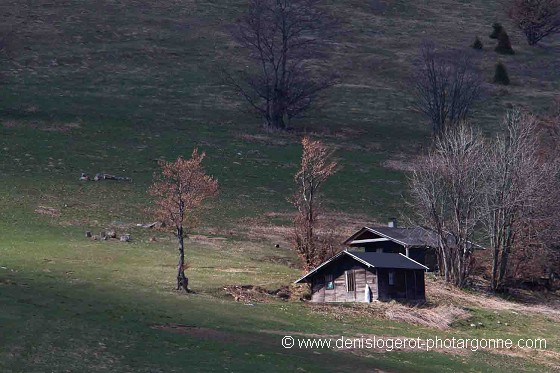 Bergeries